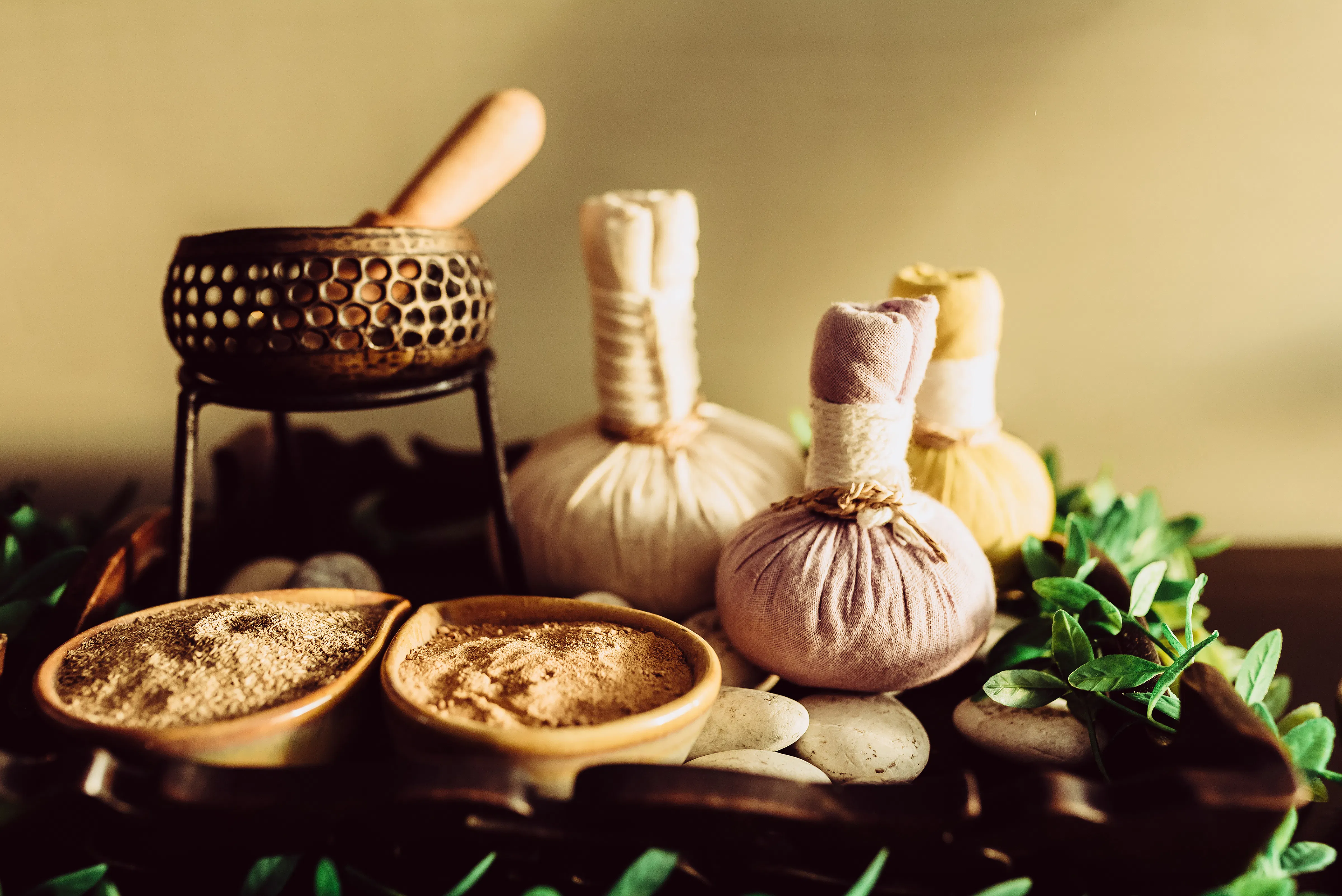 Swarnaprashana and medhya rasayana herbs in child health promotion